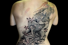 Back-Photo