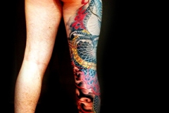 IMG_6880-header-for-website