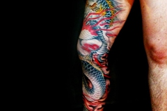 IMG_6883-header-for-website